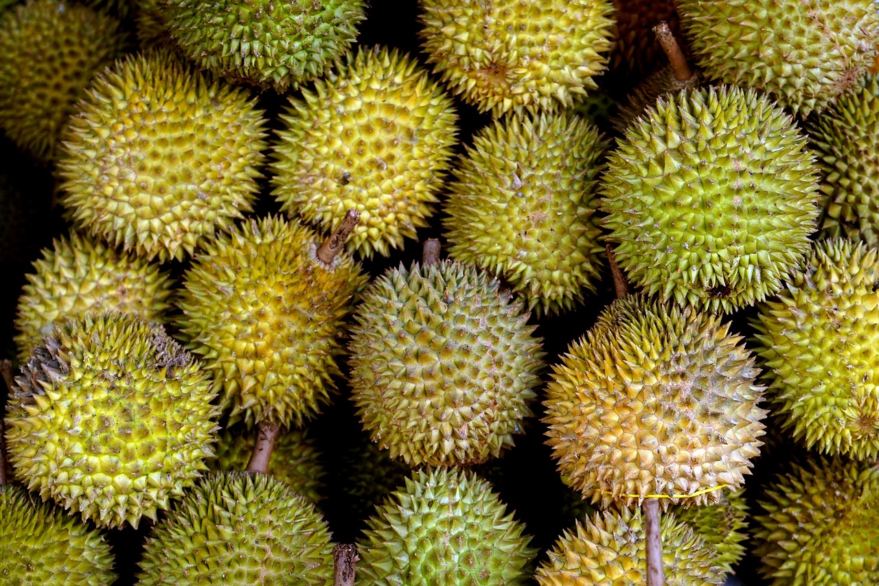 tips memilih durian