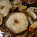 jamur shiitake