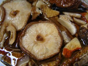 jamur shiitake