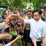 Penyempurnaan Sistem Lapor Mas Wapres untuk Menyaring Laporan Iseng dan Meningkatkan Efektivitas Pengaduan Masyarakat