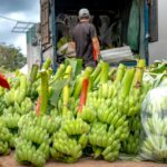 bisnis tengkulak hasil tani