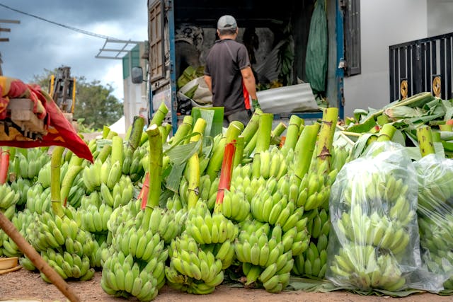bisnis tengkulak hasil tani